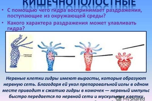 Как отличить оригинальный сайт кракена