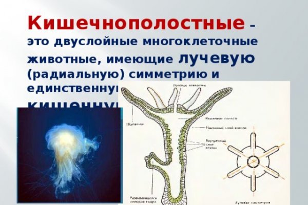 Даркнет кракен