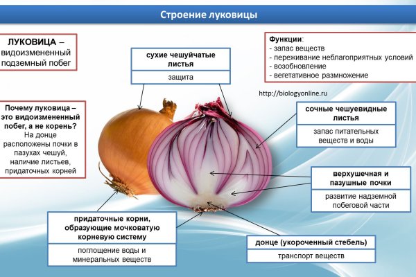 Vk8 at кракен рабочий